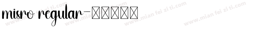 misro regular字体转换